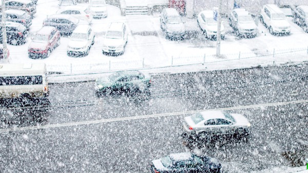 暴雪后沈阳人的出行方式令人惊叹 各地堆雪人才艺大赛精彩纷呈 