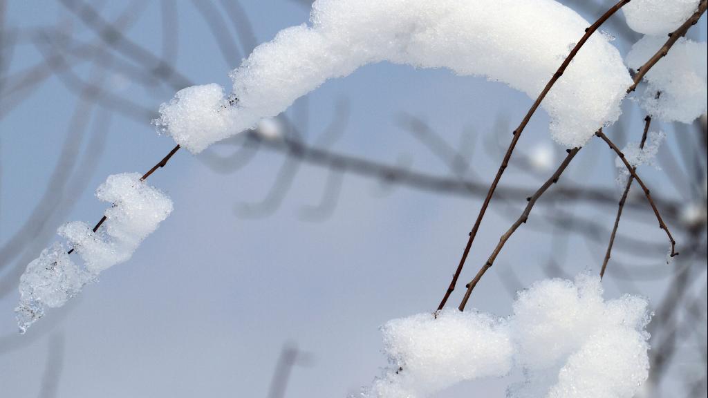 {哈尔滨暴雪过后又来冻雨 辽宁多地积雪厚度已超过35厘米}