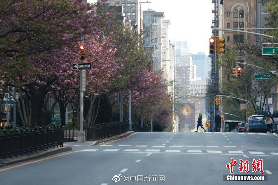 中国新闻网4.13.jpg